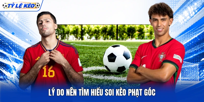 Lý do nên tìm hiểu soi kèo phạt góc Lý do nên tìm hiểu soi kèo phạt góc