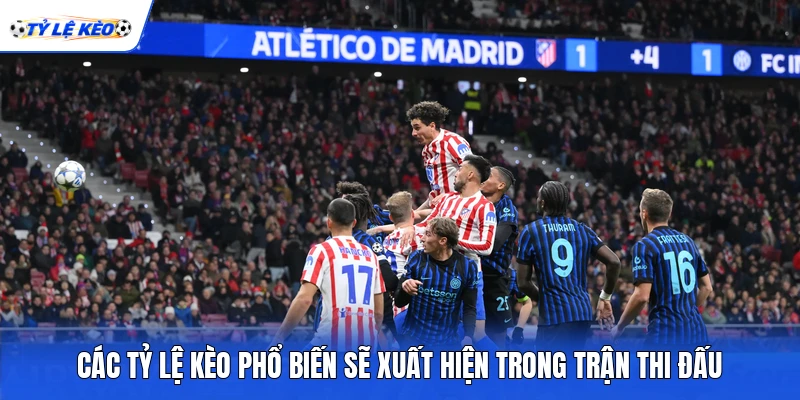 Các tỷ lệ kèo phổ biến sẽ xuất hiện trong trận thi đấu