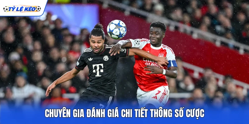 Chuyên gia đánh giá chi tiết thông số cược