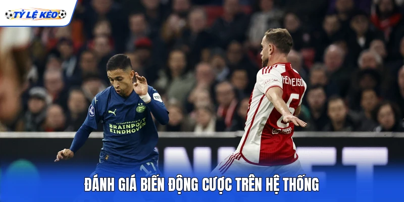 Đánh giá biến động cược trên hệ thống