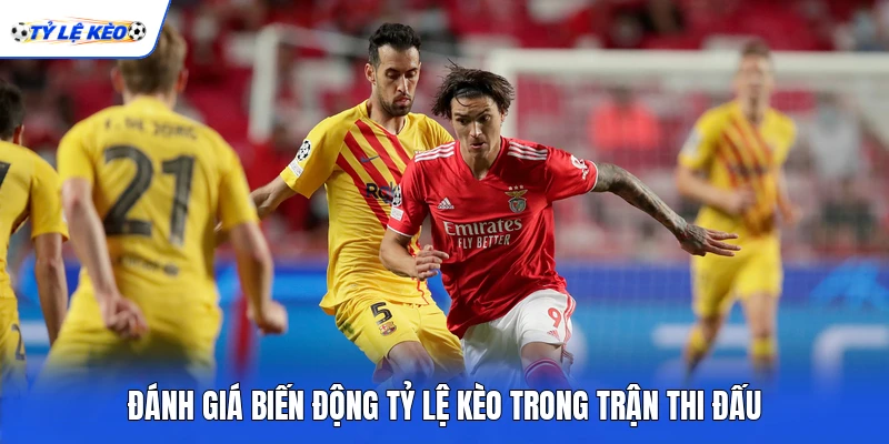 Đánh giá biến động tỷ lệ kèo trong trận thi đấu