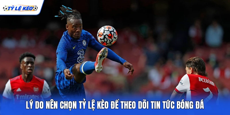 Lý do nên chọn Tỷ lệ kèo để theo dõi tin tức bóng đá